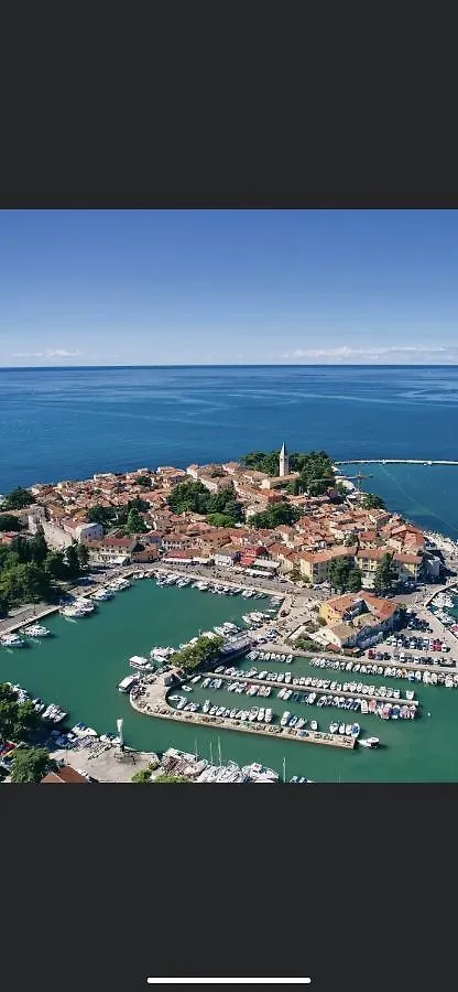 Apartment Vittore Novigrad  Croatia