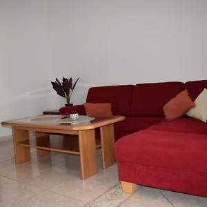 Pet Friendly Murvi 50 Novigrad Istria