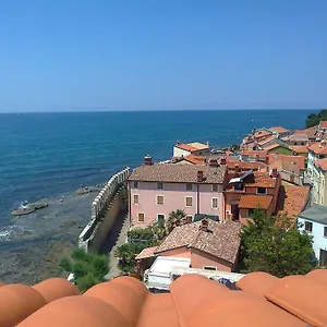 Edo Novigrad Istria