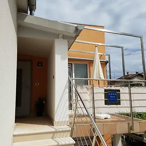 Lency Novigrad Istria